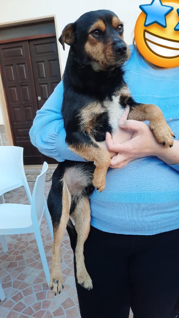 Kiro Giovane Taglia Piccola